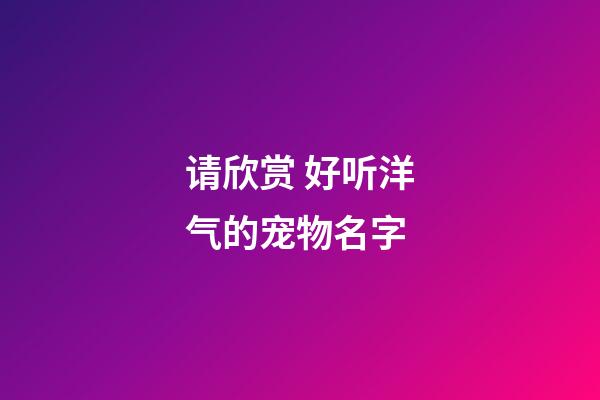请欣赏 好听洋气的宠物名字